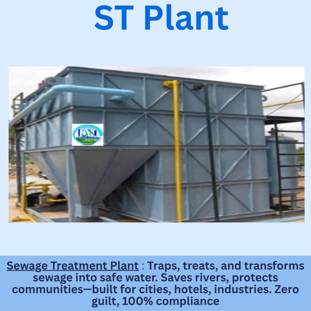 6. ST Plant